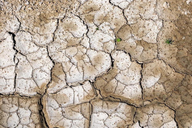 Estrada de giz rachada seca no processo de seca e falta de chuva ou umidade Seca hidrológica catástrofe ecológica