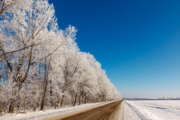 Estrada de inverno através de uma floresta de neve