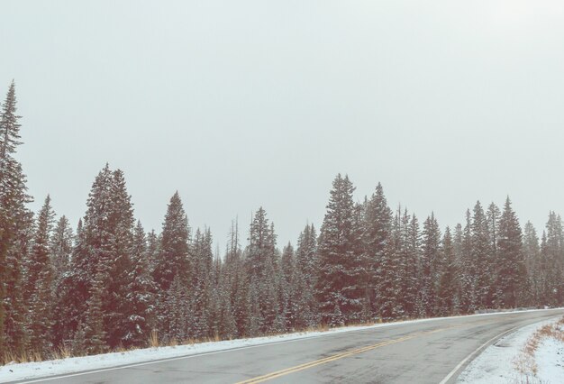 Estrada de inverno na cidade