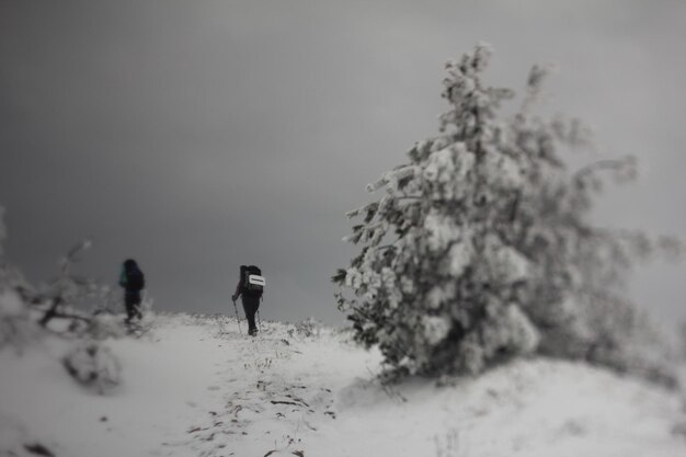 Estrada de inverno na paisagem de floresta nevada