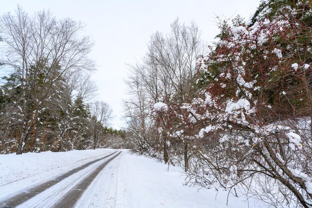 Estrada de inverno nevado em uma floresta de montanha bela paisagem de inverno