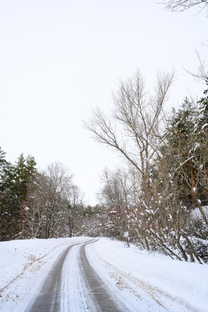 Estrada de inverno nevado em uma floresta de montanha