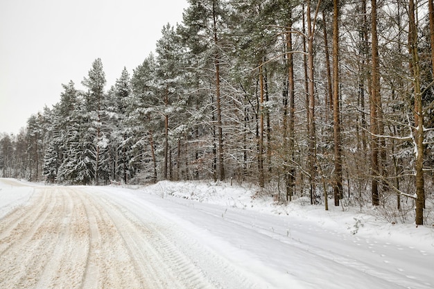 Estrada de inverno