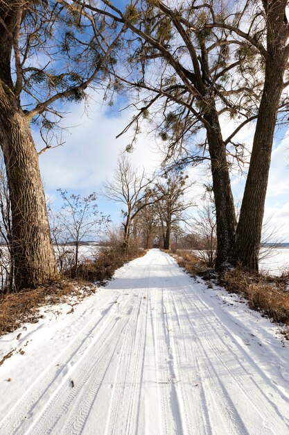 Foto estrada de inverno