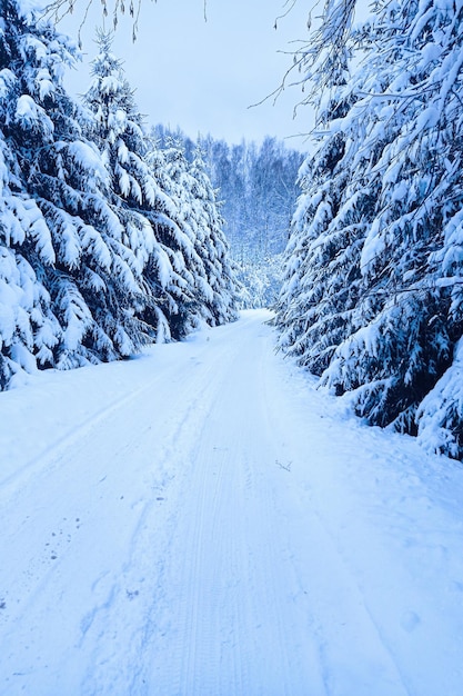 Estrada de Inverno