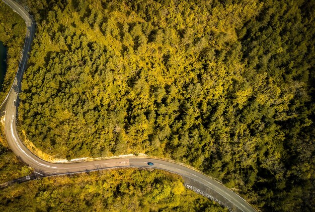 estrada de montanha atravessando uma floresta