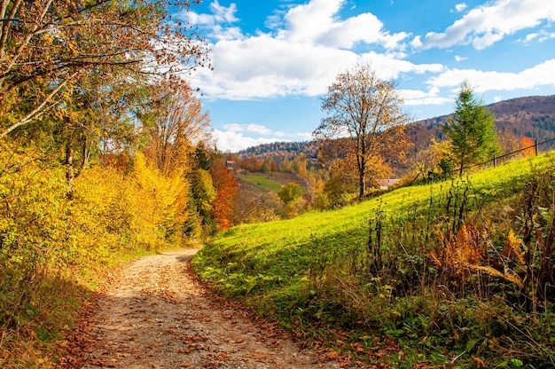 Estrada de montanha entre a paisagem de outono