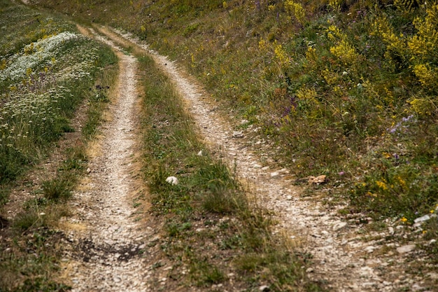 Estrada de montanha na paisagem de cume de primavera