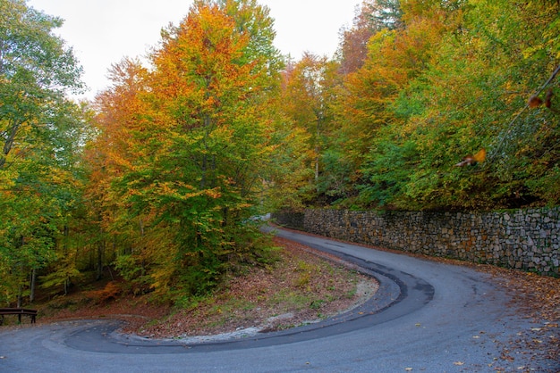Estrada de montanha no outono