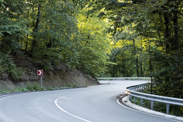 Estrada de montanha pela floresta