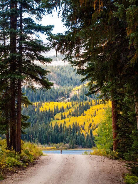 Estrada de montanha perto de Lost Lake, Colorado.