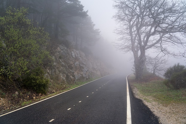 Estrada de montanha reta em um dia de forte neblina com visibilidade muito baixa. Morcuera, Madrid. Espanha.