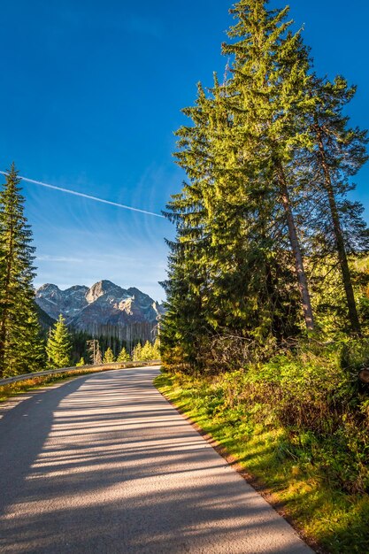 Estrada de montanhas no outono em Tatras Polônia