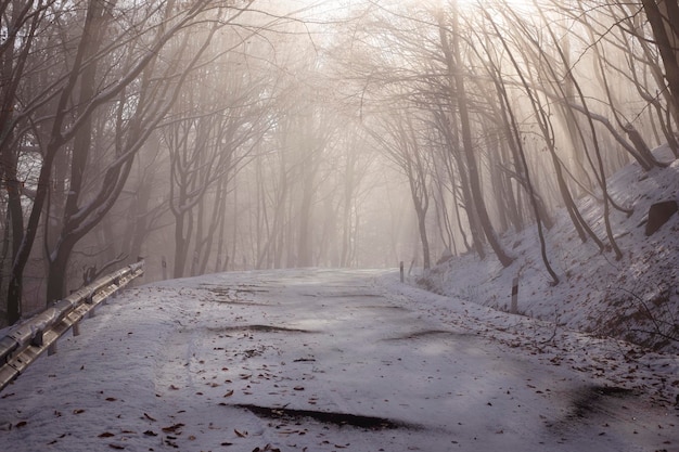 Estrada de neve no inverno passa pela floresta