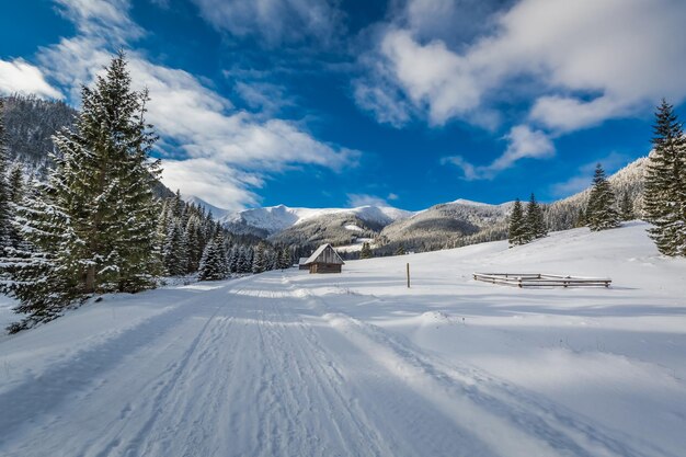 Estrada de neve no vale de Chocholowska no inverno Tatra Mountains