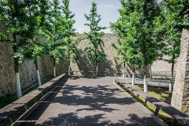 Estrada de piso de madeira ao ar livre e parede de pedra de árvores