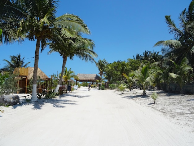 Estrada de Sandy Beach em Holbox, México