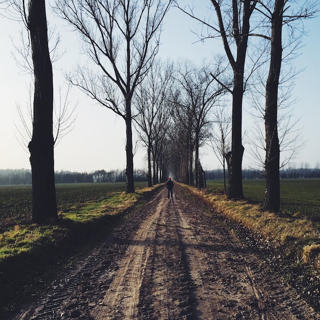 Foto estrada de terra ao longo da paisagem rural