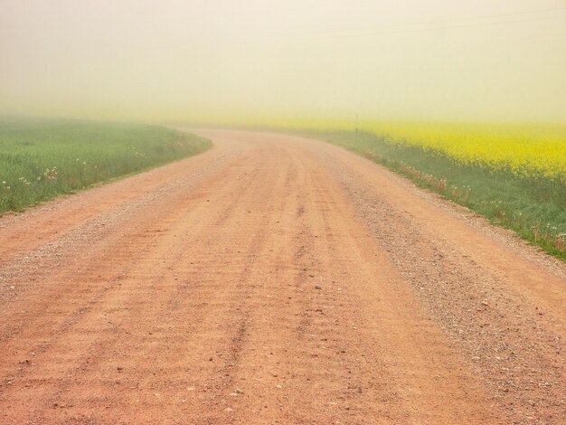 Foto estrada de terra ao longo da paisagem rural