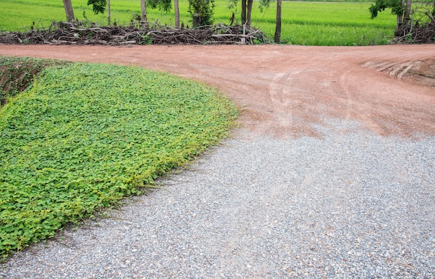 Estrada de terra com o solo de cascalho.