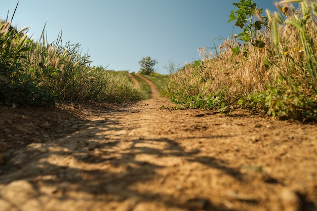 Estrada de terra com vegetação nas laterais subindo e descendo