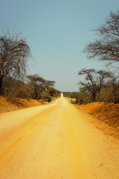 Foto estrada de terra em meio a árvores contra o céu claro no parque nacional de ruaha, na tanzânia