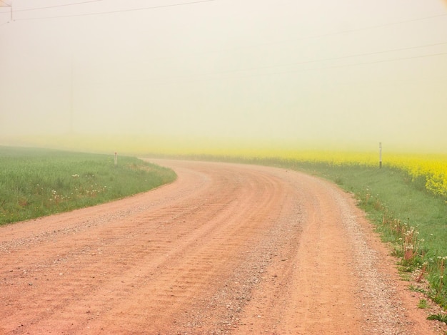 Foto estrada de terra em meio a um campo contra o céu durante o tempo nebuloso