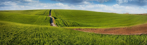 Estrada de terra em um campo verde de ondas de paisagem de colinas com céu