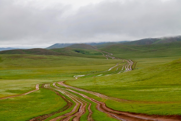 Estrada de terra multilane na Mongólia