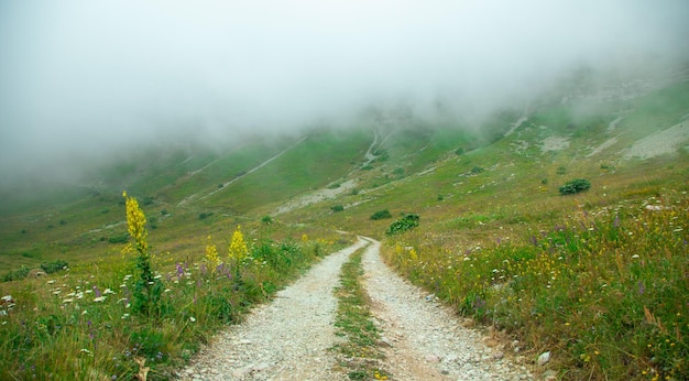 Estrada de terra na natureza Armênia verão