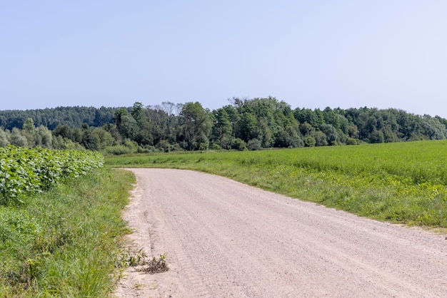 Estrada de terra no campo