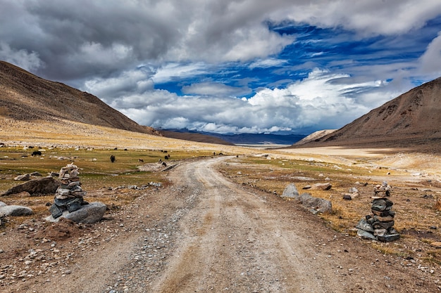 Estrada de terra no Himalaia