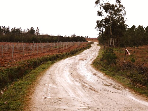 Estrada de terra no meio de um campo contra um céu limpo