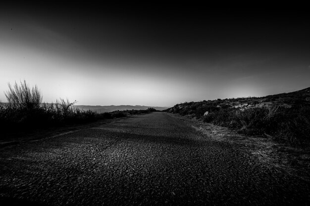 Foto estrada de terra no meio do campo contra o céu