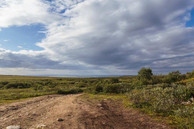 Estrada de terra nos campos indo para o mar ao longe