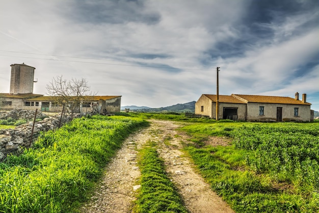 Estrada de terra para a quinta