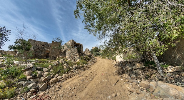 Estrada de terra por árvores contra o céu