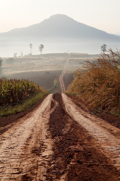 Estrada de terra que atravessa a floresta do início da primavera em uma manhã de neblina no Khao Takhian Ngo View Point