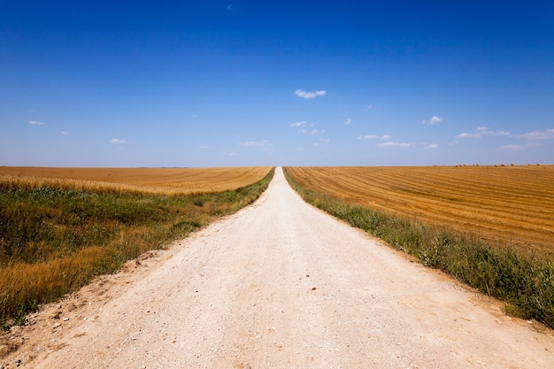 Foto estrada de terra rural passando por um campo agrícola