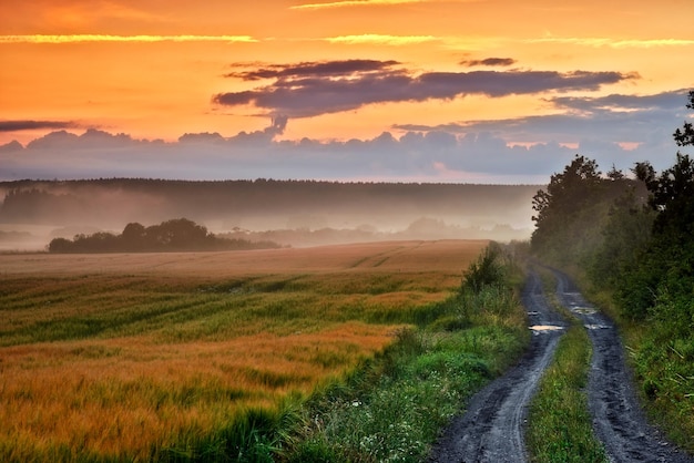 Estrada de terra rural que leva a campos agrícolas ou pastagens agrícolas em uma área remota durante o nascer ou pôr do sol com neblina ou neblina Vista da paisagem de paisagens tranquilas e prados agrícolas místicos na Alemanha