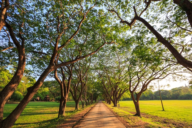 Foto estrada de terra se estendendo