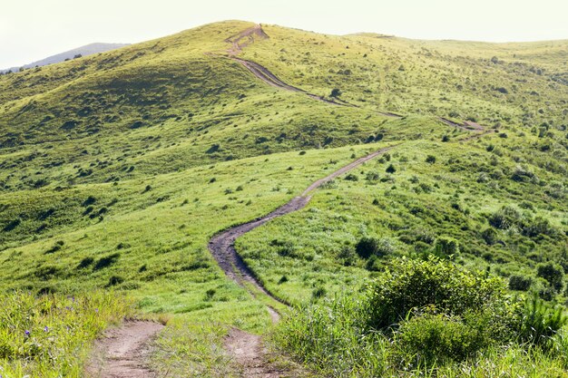 Estrada de terra subindo colina verde