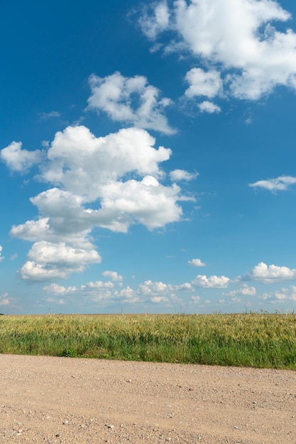 Estrada de terra vazia através dos campos Nuvens fofas em um verão quente Dia ensolarado sobre um campo de trigo Natureza pura longe da cidade grande Turismo ecológico