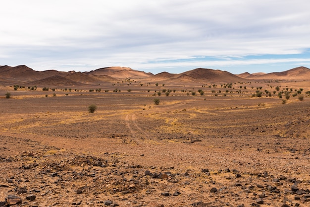 Estrada, deserto, sahara