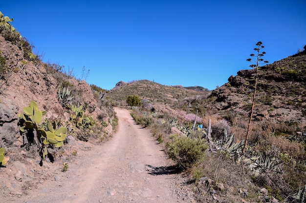 Estrada do Deserto