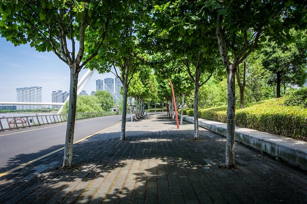 Foto estrada e árvores no belo parque da cidade