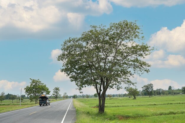Estrada e céu com carros passando por campos de arroz na zona rural num dia ensolarado de verão.