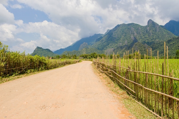 Estrada e chalé e campo de arroz verde em terraços em vang vieng laos
