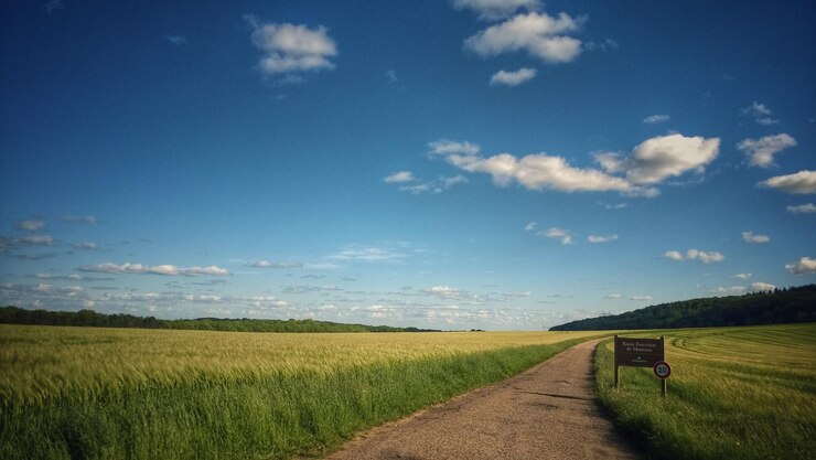 Foto estrada em campo gramado contra o céu