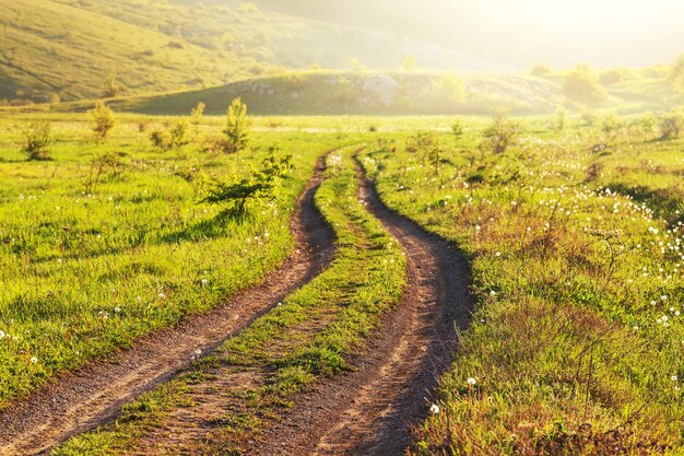 Estrada em campo